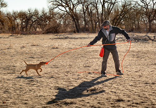 Training at Valhalla Kennels and Gun Dogs