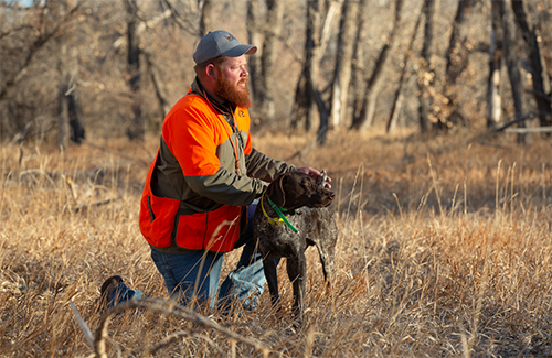 Scott King - Dog Trainer Valhalla Kennels and Gun Dogs