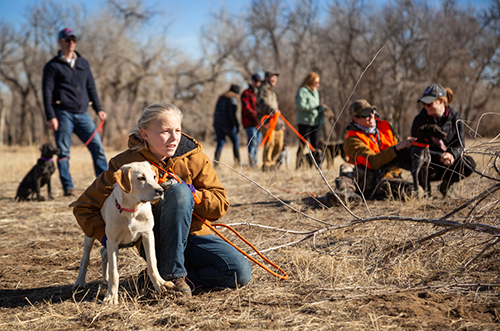 Valhalla Gun Dog School of Excellence