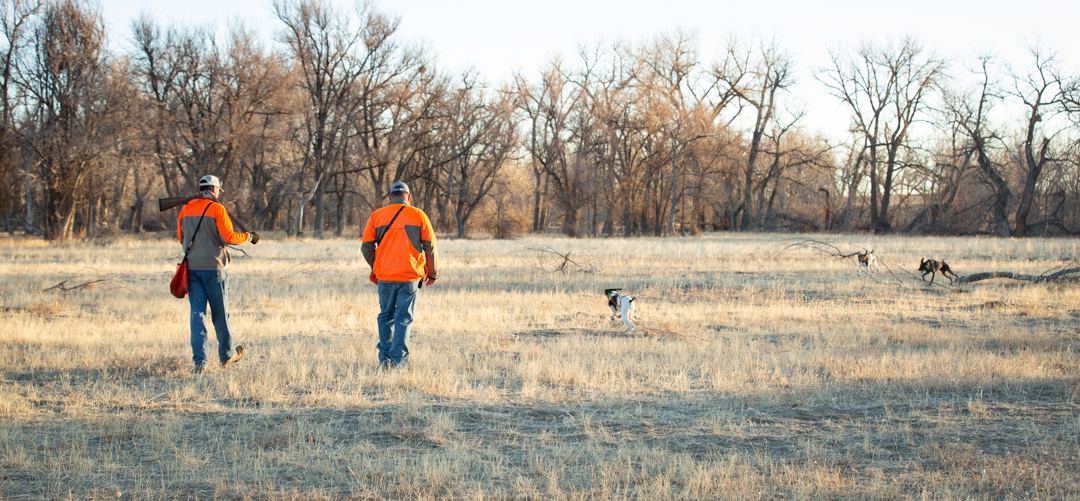 Training at Valhalla Kennels and Gun Dogs