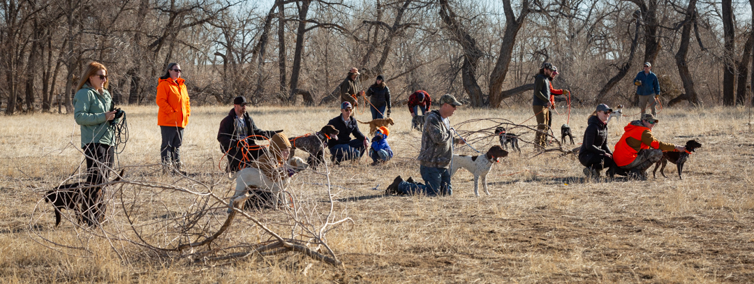 Valhalla's Gun Dog School of Excellence